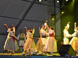 Festival de Folkore en Mula